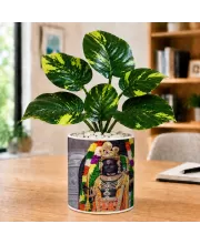 Artificial Tree Ceramic Photo Pot With White Stones 3x4 Inch (F165819)