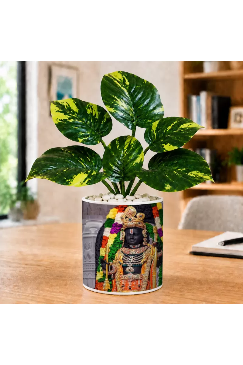 Artificial Tree Ceramic Photo Pot With White Stones 3x4 Inch (F165819)