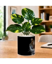 Artificial Tree Ceramic Photo Pot With White Stones 3x4 Inch (F165821)