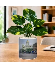 Artificial Tree Ceramic Photo Pot With White Stones 3x4 Inch (F165823)