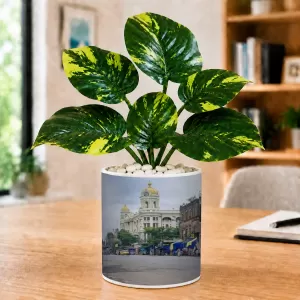 Artificial Tree Ceramic Photo Pot With White Stones 3x4 Inch (F165823) Artificial Tree Ceramic Photo Pot With White Stones 3x4 Inch (F165823)