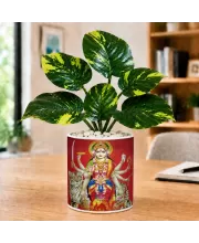 Artificial Tree Ceramic Photo Pot With White Stones 3x4 Inch (F165828)