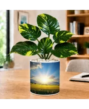 Artificial Tree Ceramic Photo Pot With White Stones 3x4 Inch (F165829)