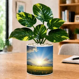 Artificial Tree Ceramic Photo Pot With White Stones 3x4 Inch (F165829) Artificial Tree Ceramic Photo Pot With White Stones 3x4 Inch (F165829)
