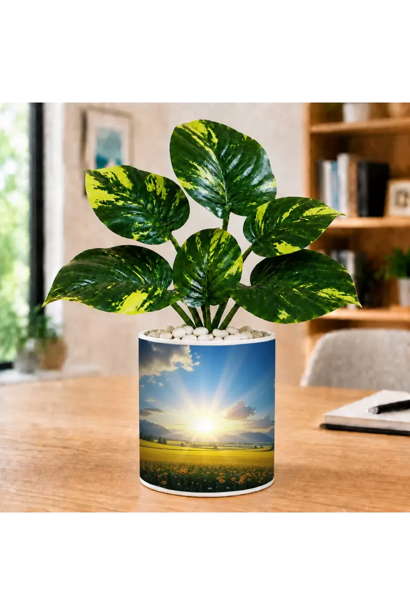 Artificial Tree Ceramic Photo Pot With White Stones 3x4 Inch (F165829)