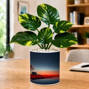 Artificial Tree Ceramic Photo Pot With White Stones 3x4 Inch (F165835) Artificial Tree Ceramic Photo Pot With White Stones 3x4 Inch (F165835)