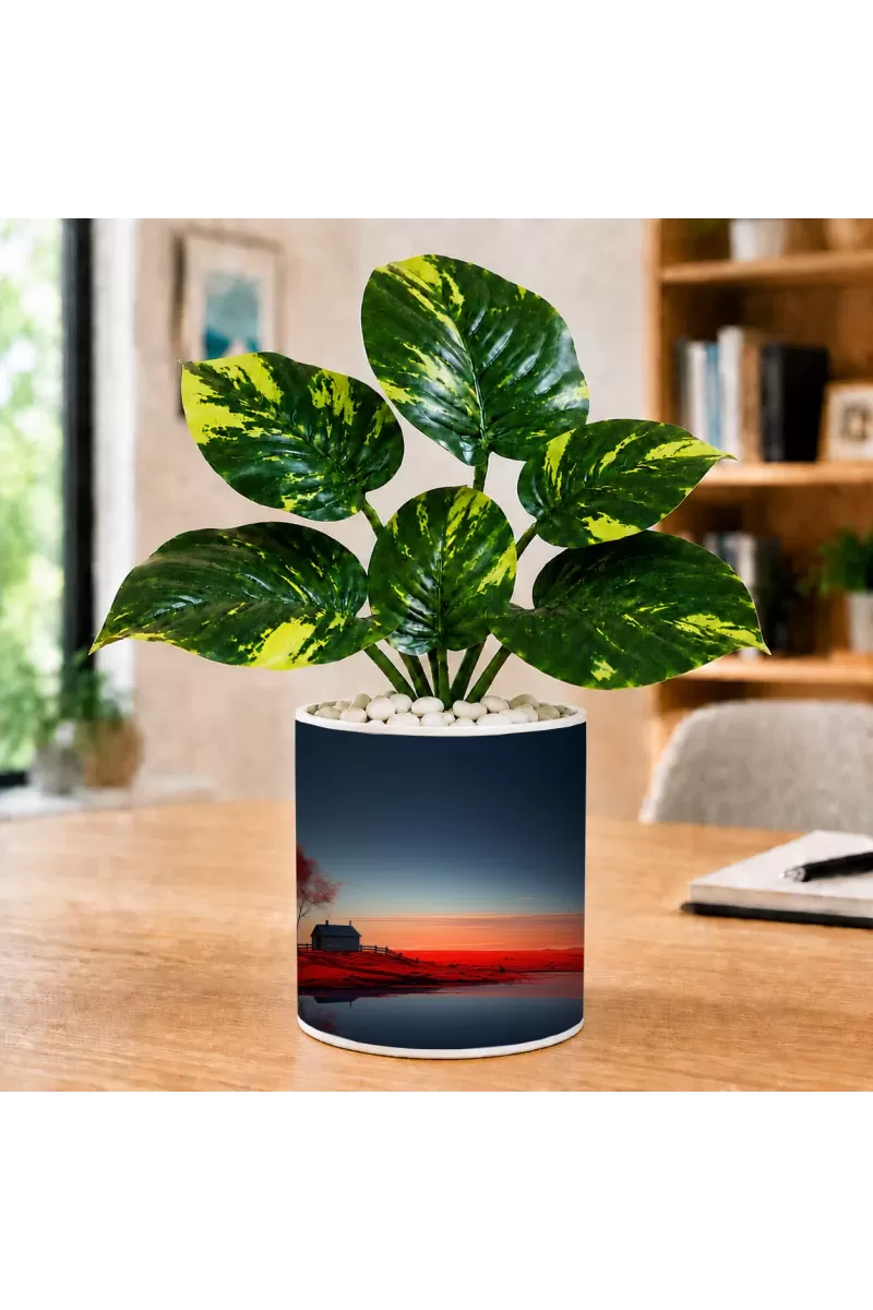 Artificial Tree Ceramic Photo Pot With White Stones 3x4 Inch (F165835)