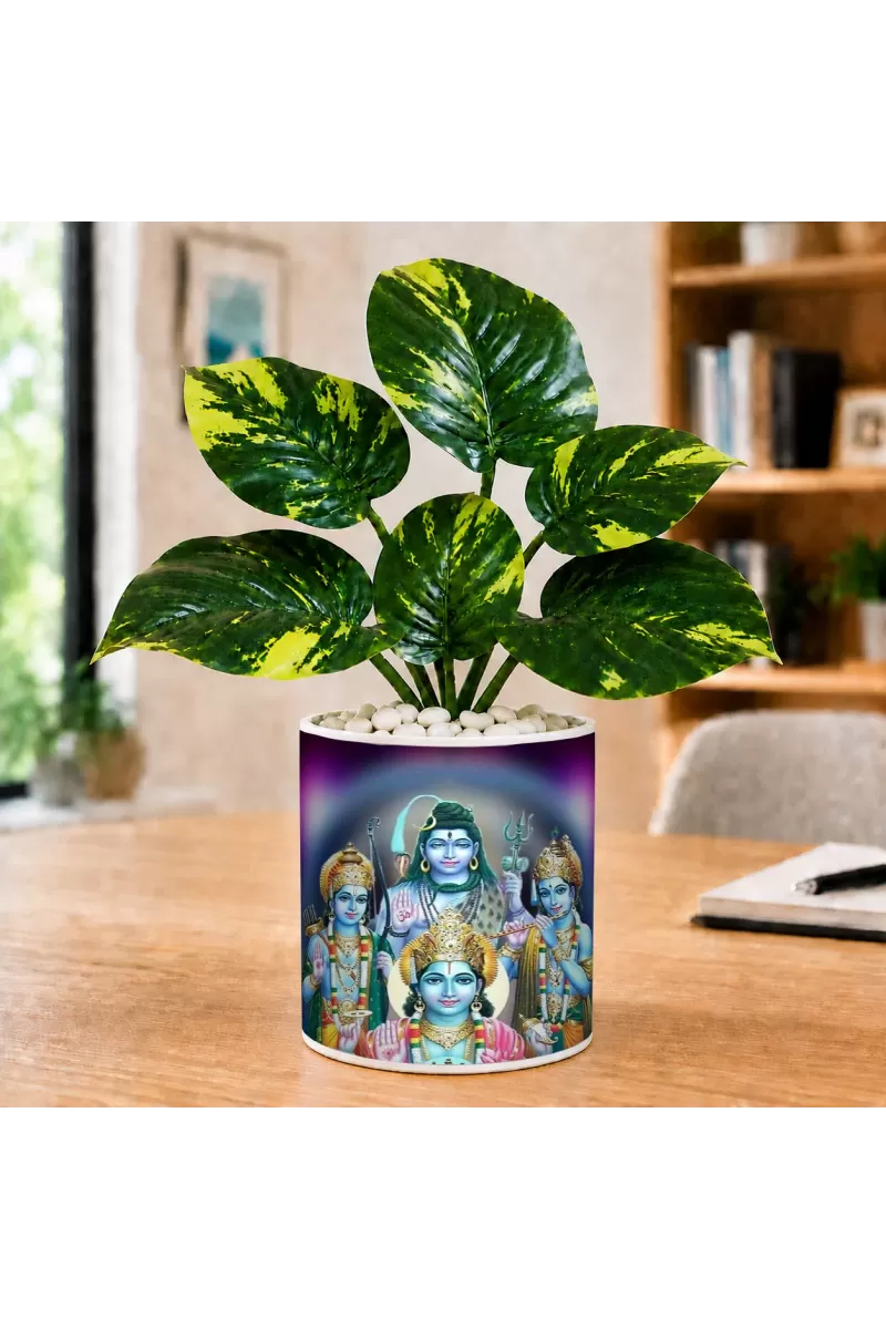 Artificial Tree Ceramic Photo Pot With White Stones 3x4 Inch (F165842)