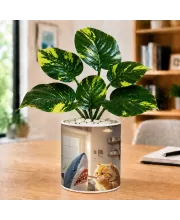 Artificial Tree Ceramic Photo Pot With White Stones 3x4 Inch (F165865)