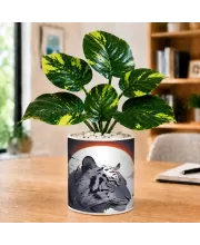 Artificial Tree Ceramic Photo Pot With White Stones 3x4 Inch (F165867)