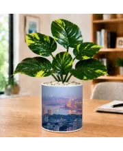 Artificial Tree Ceramic Photo Pot With White Stones 3x4 Inch (F165872)