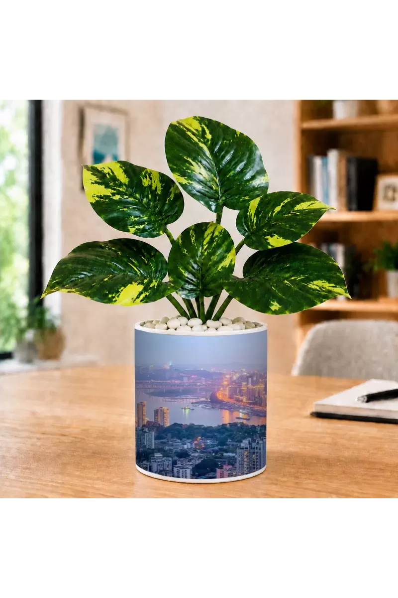 Artificial Tree Ceramic Photo Pot With White Stones 3x4 Inch (F165872)