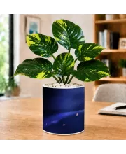 Artificial Tree Ceramic Photo Pot With White Stones 3x4 Inch (F165875)