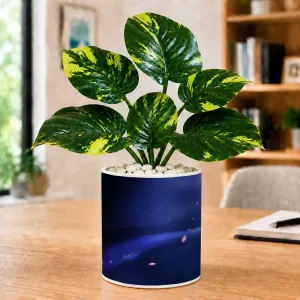 Artificial Tree Ceramic Photo Pot With White Stones 3x4 Inch (F165875) Artificial Tree Ceramic Photo Pot With White Stones 3x4 Inch (F165875)