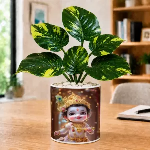 Artificial Tree Ceramic Photo Pot With White Stones 3x4 Inch (F165885) Artificial Tree Ceramic Photo Pot With White Stones 3x4 Inch (F165885)