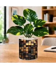 Artificial Tree Ceramic Photo Pot With White Stones 3x4 Inch (F165889)