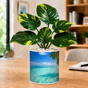 Artificial Tree Ceramic Photo Pot With White Stones 3x4 Inch (F165892) Artificial Tree Ceramic Photo Pot With White Stones 3x4 Inch (F165892)