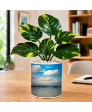 Artificial Tree Ceramic Photo Pot With White Stones 3x4 Inch (F165904)