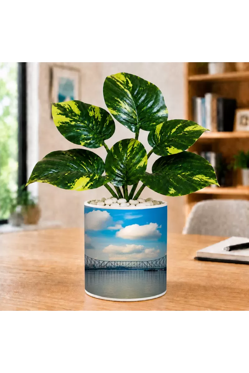 Artificial Tree Ceramic Photo Pot With White Stones 3x4 Inch (F165904)