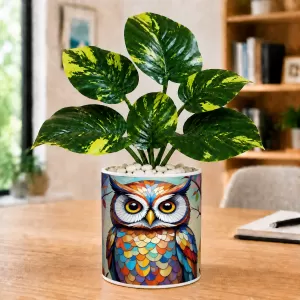 Artificial Tree Ceramic Photo Pot With White Stones 3x4 Inch (F165911) Artificial Tree Ceramic Photo Pot With White Stones 3x4 Inch (F165911)