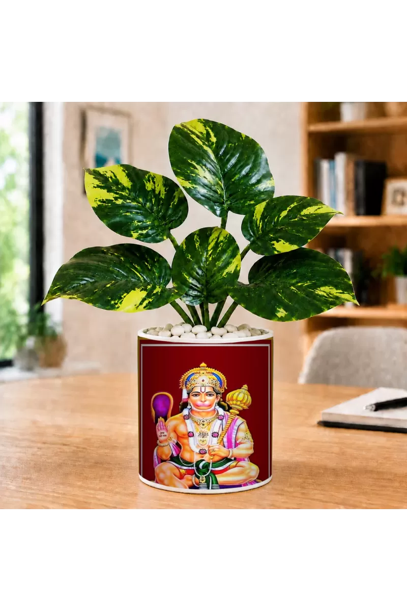Artificial Tree Ceramic Photo Pot With White Stones 3x4 Inch (F165941)