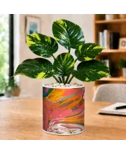 Artificial Tree Ceramic Photo Pot With White Stones 3x4 Inch (F165943)
