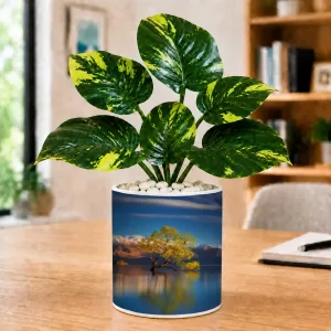 Artificial Tree Ceramic Photo Pot With White Stones 3x4 Inch (F165946) Artificial Tree Ceramic Photo Pot With White Stones 3x4 Inch (F165946)