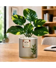 Artificial Tree Ceramic Photo Pot With White Stones 3x4 Inch (F165956)