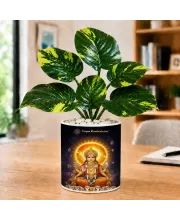 Artificial Tree Ceramic Photo Pot With White Stones 3x4 Inch (F165962)
