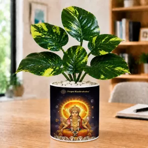 Artificial Tree Ceramic Photo Pot With White Stones 3x4 Inch (F165962) Artificial Tree Ceramic Photo Pot With White Stones 3x4 Inch (F165962)
