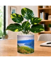 Artificial Tree Ceramic Photo Pot With White Stones 3x4 Inch (F165963)