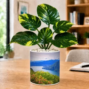 Artificial Tree Ceramic Photo Pot With White Stones 3x4 Inch (F165963) Artificial Tree Ceramic Photo Pot With White Stones 3x4 Inch (F165963)