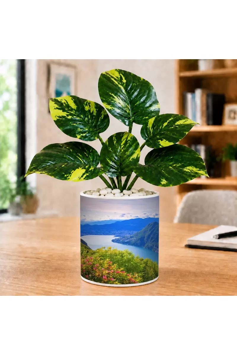 Artificial Tree Ceramic Photo Pot With White Stones 3x4 Inch (F165963)