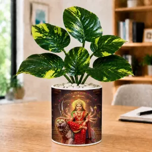 Artificial Tree Ceramic Photo Pot With White Stones 3x4 Inch (F165965) Artificial Tree Ceramic Photo Pot With White Stones 3x4 Inch (F165965)