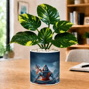 Artificial Tree Ceramic Photo Pot With White Stones 3x4 Inch (F165968) Artificial Tree Ceramic Photo Pot With White Stones 3x4 Inch (F165968)