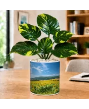 Artificial Tree Ceramic Photo Pot With White Stones 3x4 Inch (F165972)