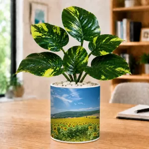 Artificial Tree Ceramic Photo Pot With White Stones 3x4 Inch (F165972) Artificial Tree Ceramic Photo Pot With White Stones 3x4 Inch (F165972)