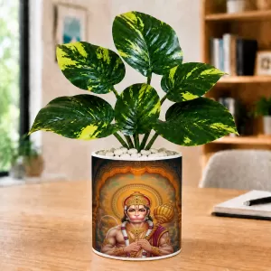 Artificial Tree Ceramic Photo Pot With White Stones 3x4 Inch (F165979) Artificial Tree Ceramic Photo Pot With White Stones 3x4 Inch (F165979)