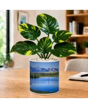 Artificial Tree Ceramic Photo Pot With White Stones 3x4 Inch (F165981)