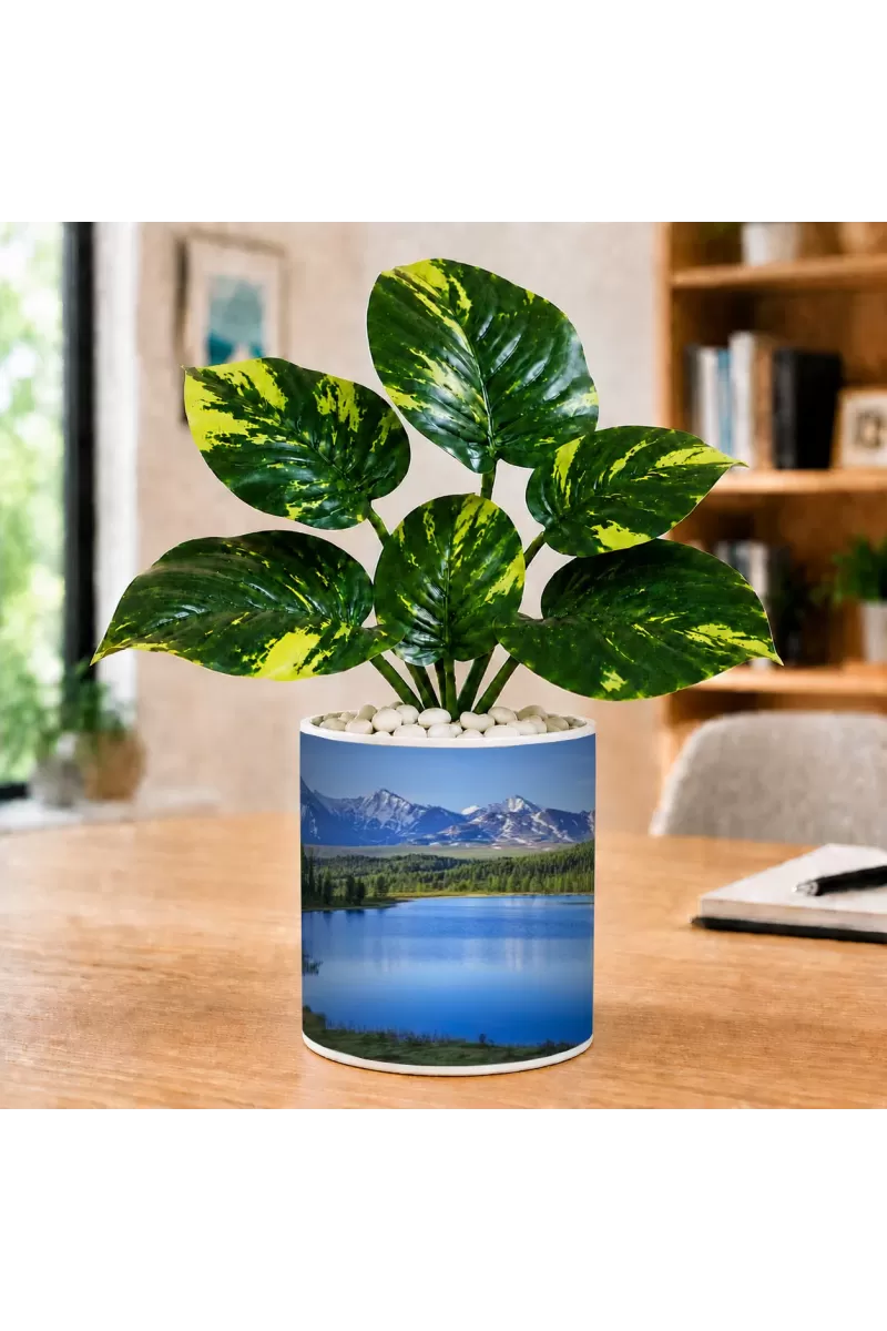 Artificial Tree Ceramic Photo Pot With White Stones 3x4 Inch (F165981)