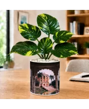 Artificial Tree Ceramic Photo Pot With White Stones 3x4 Inch (F165997)