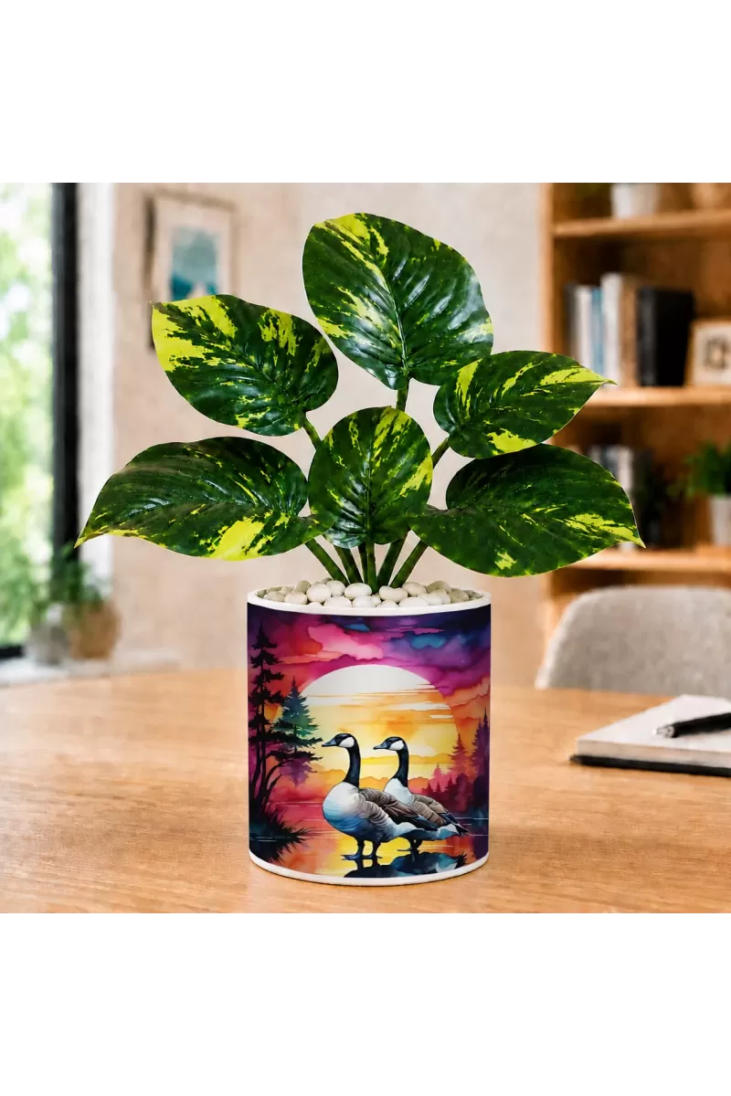 Artificial Tree Ceramic Photo Pot With White Stones 3x4 Inch (F165998)