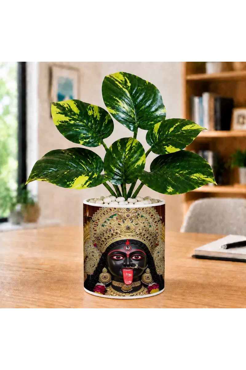 Artificial Tree Ceramic Photo Pot With White Stones 3x4 Inch (F166003)