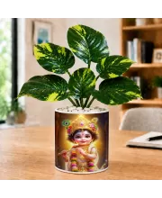 Artificial Tree Ceramic Photo Pot With White Stones 3x4 Inch (F166016)