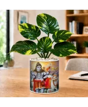 Artificial Tree Ceramic Photo Pot With White Stones 3x4 Inch (F166018)