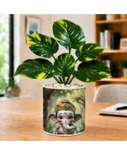 Artificial Tree Ceramic Photo Pot With White Stones 3x4 Inch (F166024)