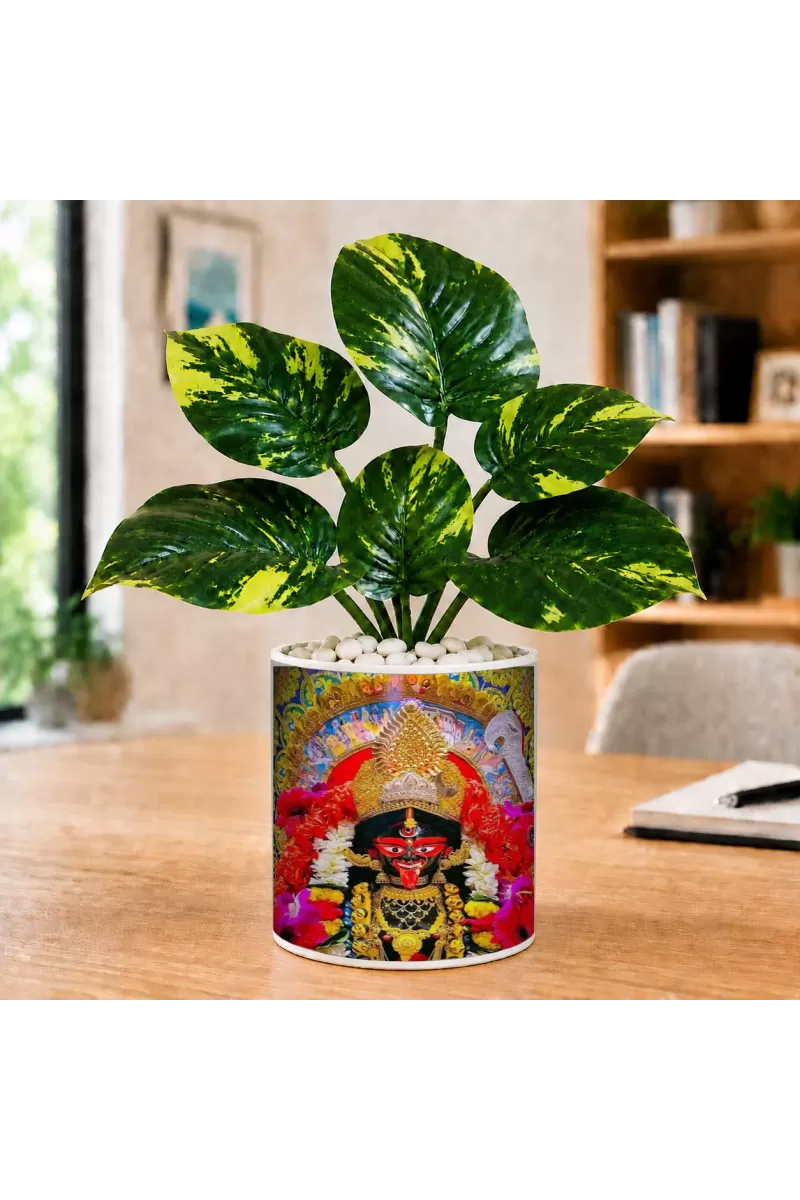 Artificial Tree Ceramic Photo Pot With White Stones 3x4 Inch (F166039)