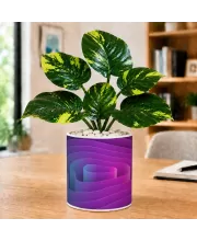 Artificial Tree Ceramic Photo Pot With White Stones 3x4 Inch (F166054)