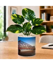 Artificial Tree Ceramic Photo Pot With White Stones 3x4 Inch (F166060)