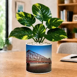 Artificial Tree Ceramic Photo Pot With White Stones 3x4 Inch (F166060)